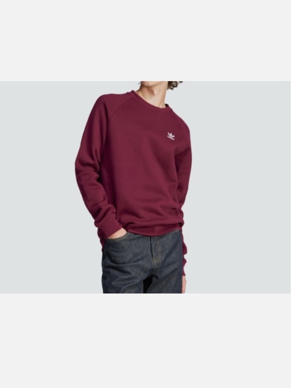 adidas Men's Crewneck Sweatshirt in Burgundy